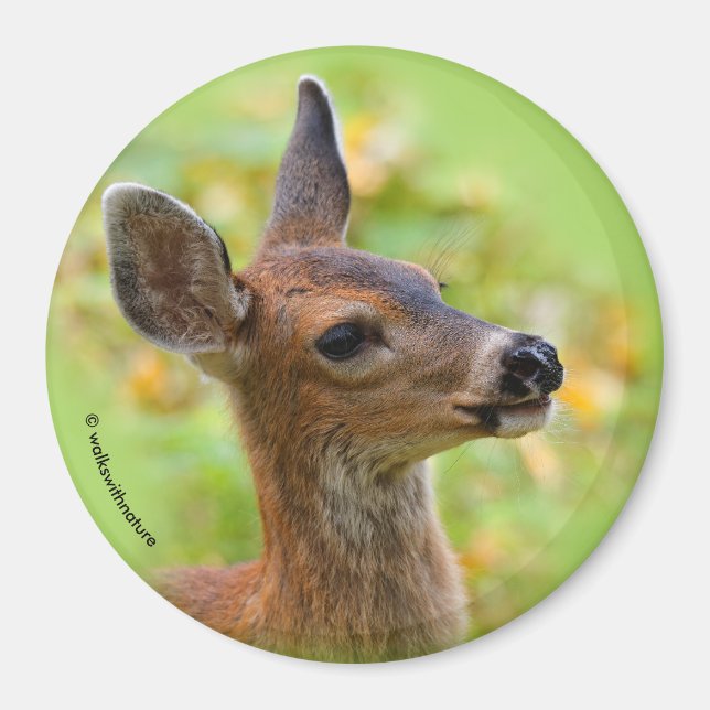 Aimant Portrait vierge du cerf de queue noire souriant Fa (Devant)