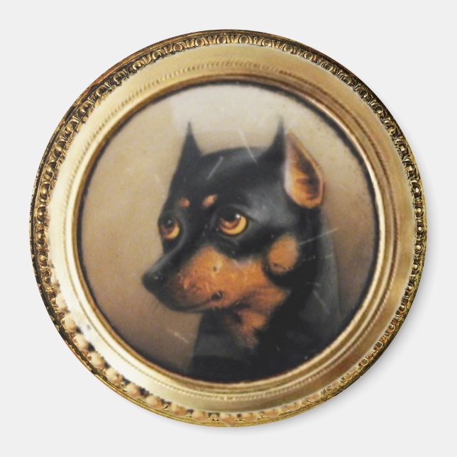 Aimant PORTRAITS DE CHIENS MINIATES Pincher (Devant)