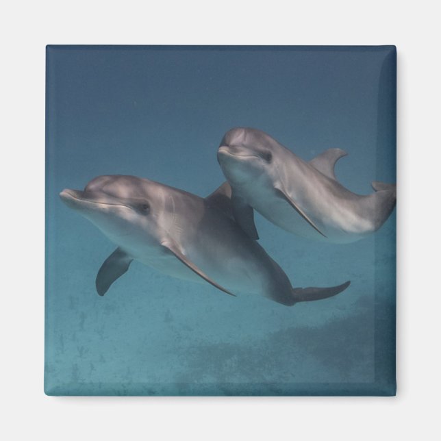 Aimant Pose joueuse (Devant)