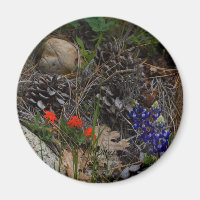 Pot-pourri