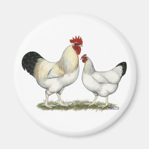 Aimant Poulets de la rivière Indian