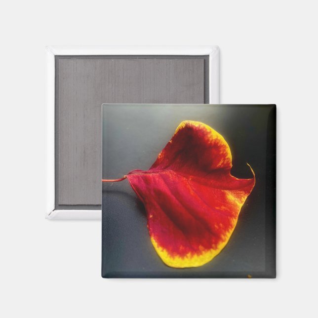 Aimant pour feuilles (Recto/Verso)