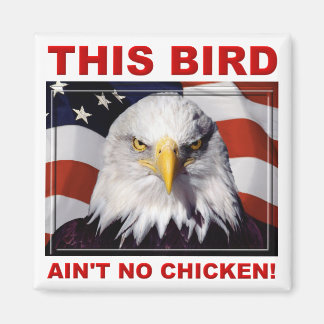 Aimant pour réfrigérateur American Eagle Ain't No 