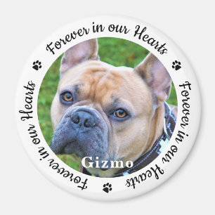 Aimant Pour toujours dans nos coeurs Photo Pet Dog Memori