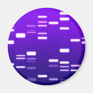 Aimant Pourpre de code génétique d'ADN