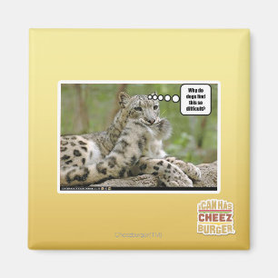 Aimant Pourquoi les chiens trouvent-ils cela si difficile