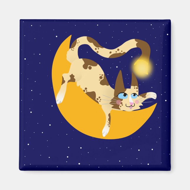 AIMANT POUSSER SUR LA LUNE (Devant)