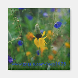 Aimant Prairie Coneflower