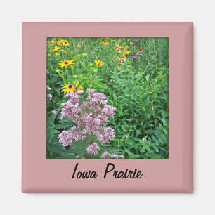 Aimant Prairie de l'Iowa