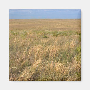 Aimant Prairie de prairie à l'est de Sidney, Nebraska.