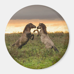 Aimant Prancing des chevaux sauvages autour de l'aimant