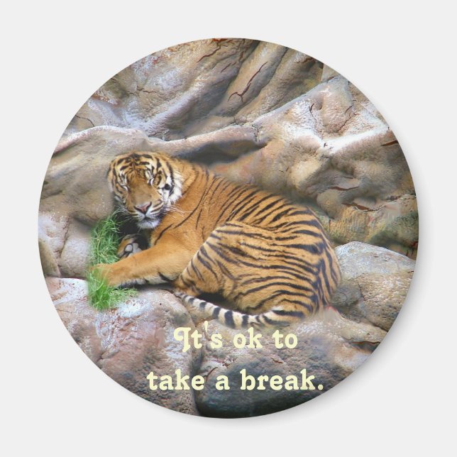 Aimant Prenez un objet Break_Magnet (Devant)