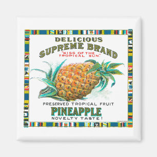 Aimant Préservations Suprême d'ananas