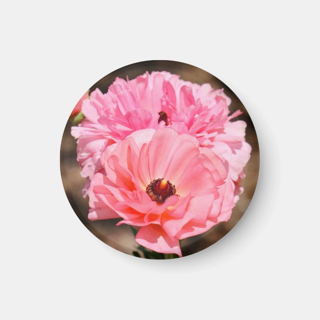 Aimant Presse en rose (Devant)