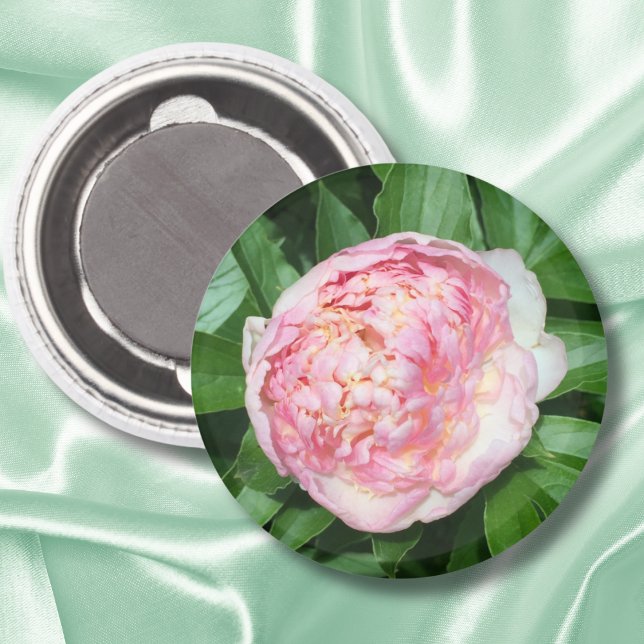 Aimant Prêt À Bloom Peony (Créateur téléchargé)
