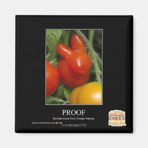 Aimant Preuve