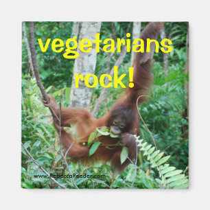 Aimant Primate Vegetariens rock!