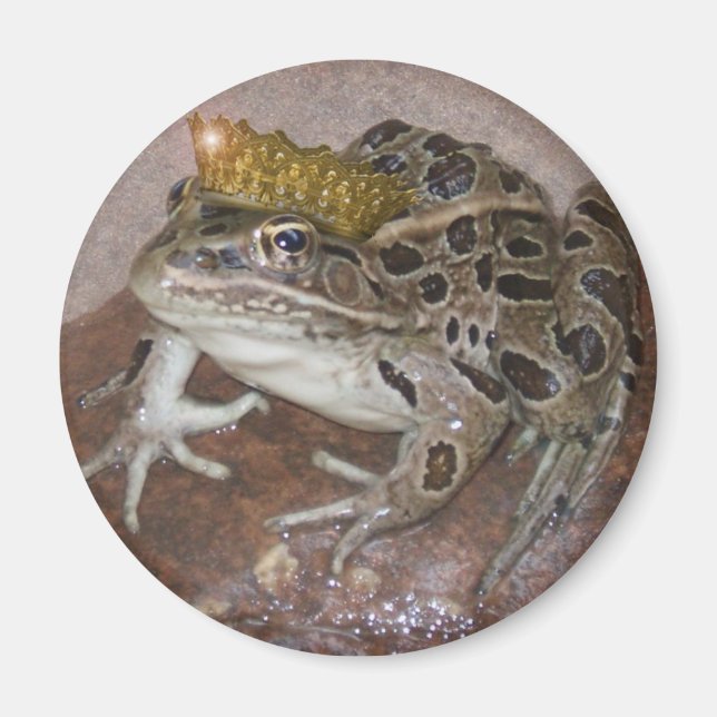 Aimant Prince Grenouille (Devant)