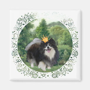 Aimant Prince Pomeranian noir