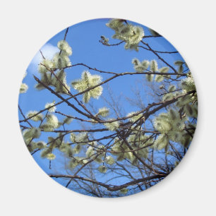 Aimant Printemps