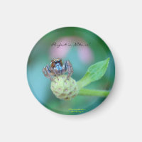 Prix Perfect in Nature