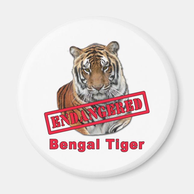 Aimant Produits tigres du Bengale en danger (Devant)