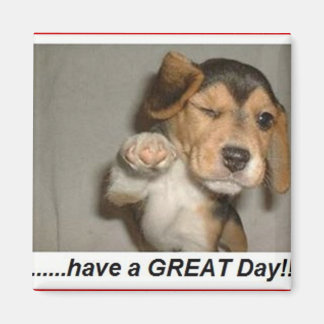 Aimant profiter de l'aimant du jour