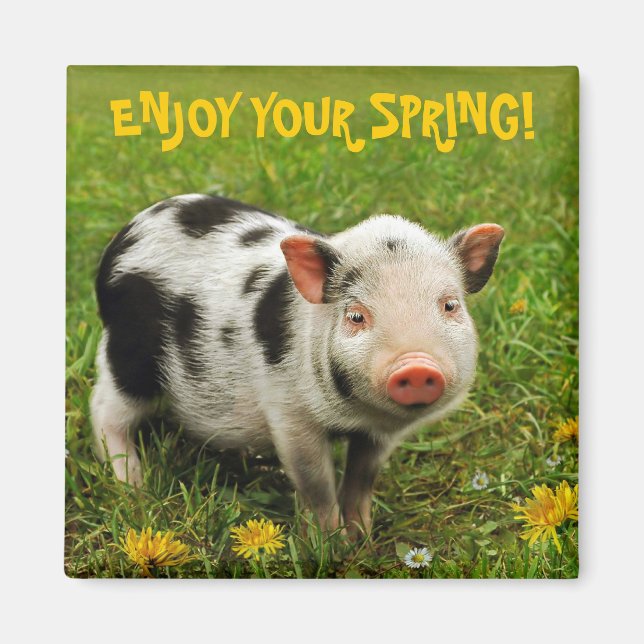 AIMANT PROFITEZ DE VOTRE PRINTEMPS ! (Devant)