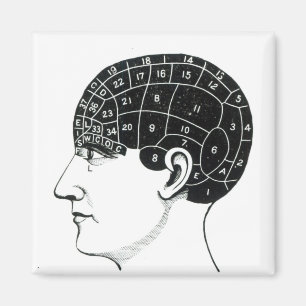 Aimant Propensions domestiques