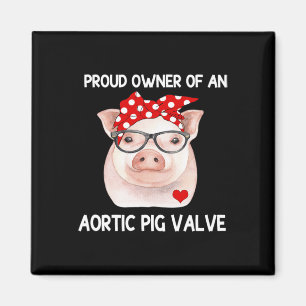 Aimant Propriétaire D'Une Vanne De Cochon Aortique Connai