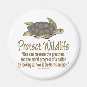 Aimant Protéger les tortues de mer