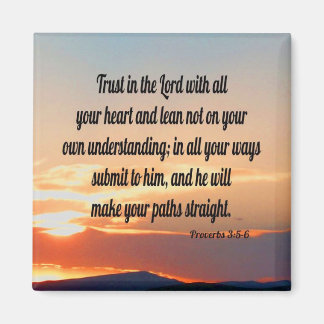 Aimant Proverbes 19:21