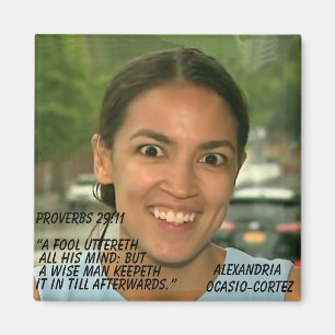 AIMANT PROVERBES 29:11