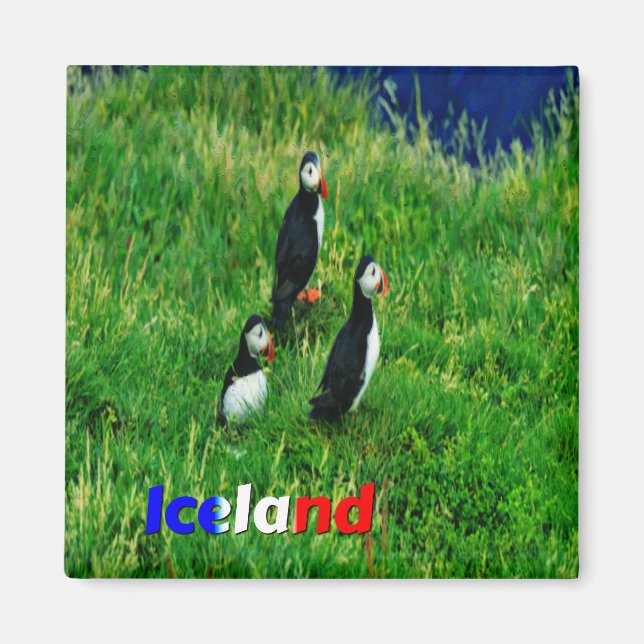 Aimant Puffins (Devant)