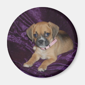 Aimant Puggle Love
