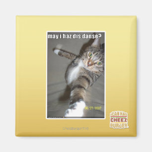 Aimant Puis-je avoir dis danse ?