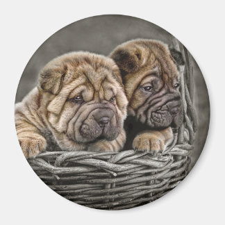 Aimant Pups Shar Pei dans l'aimant de panier