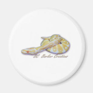 Aimant Python de boule de Hatchling albinos