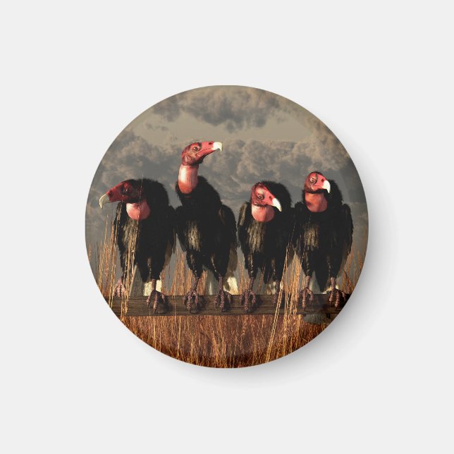 Aimant Quatuor Vautour (Devant)