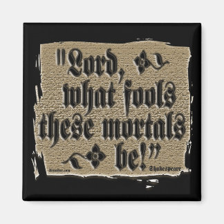 Aimant Quels sont les éléments magiques