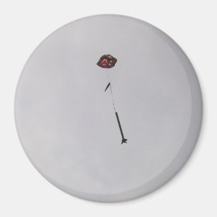 Aimant Qu'est-ce qui monte...l'aimant