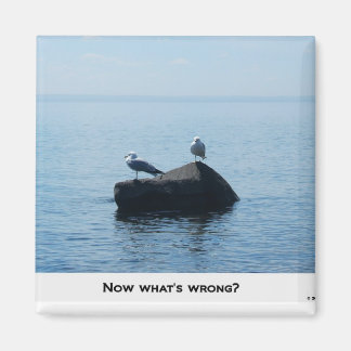 AIMANT QU'EST-CE QUI NE VA PAS ?