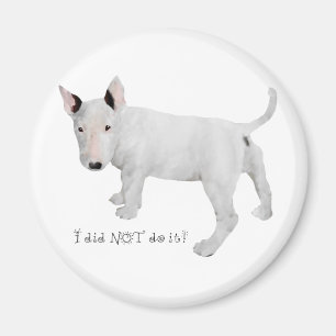 Aimant Qui, moi ? chiot Bull Terrier