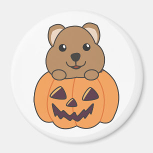 Aimant Quokka En Citrouille Cute Quokkas Happy Halloween