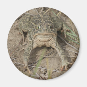 Aimant R10 Prairie Toad