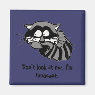 Aimant Raccoon