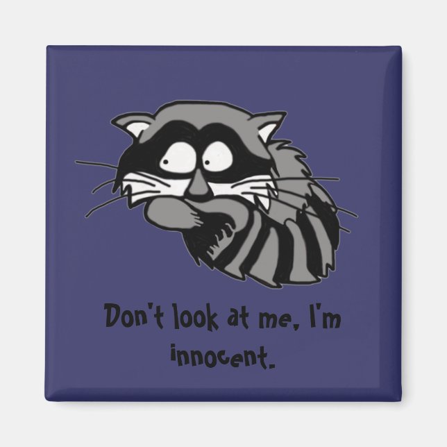 Aimant Raccoon (Devant)