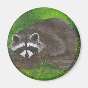Aimant Raccoon