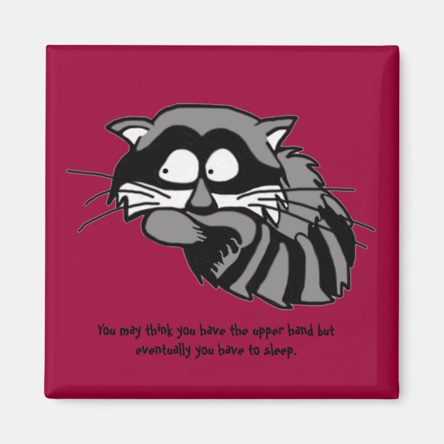 Aimant Raccoon (Devant)