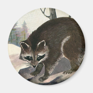Aimant Raccoon vintage, Forêt Animale Sauvage Créatures